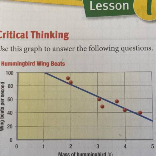 Explain a trend or pattern you
observe in the graph.