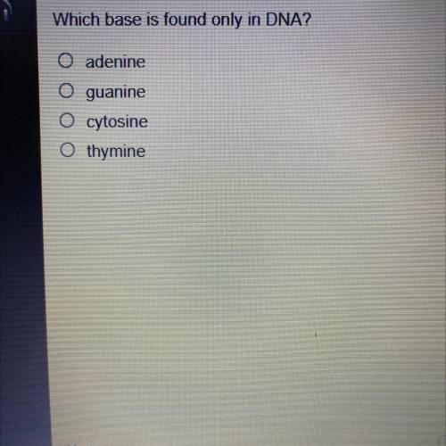 Which base is found only in DNA?
O adenine
O guanine
O cytosine
othymine