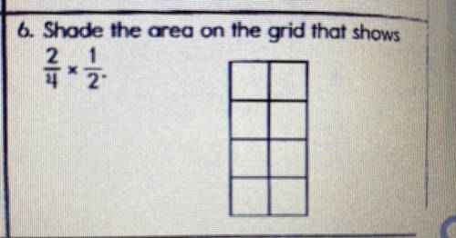 Shade the area on the grid that shows 2/4 x 1/2