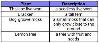 This table shows four species of plants, with descriptions.

Which species are most likely vascula