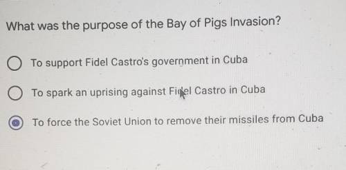 What was the purpose of the bay of pigs?