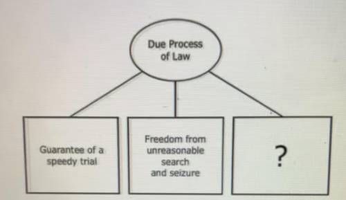 Which right best completes the diagram?

A) Protection from cruel and unusual punishment 
B) the r