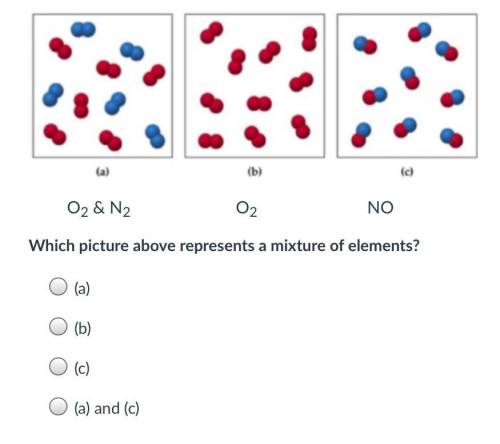 Which picture above represents a mixture of elements?