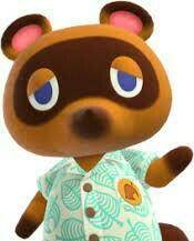 Thats tom nook he says u need to pay him 999999 bells