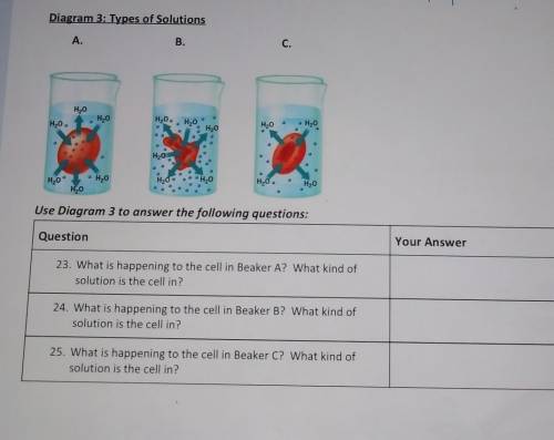 TYPES OF SOLUTIONS ( BIOLOGY ) HELP!