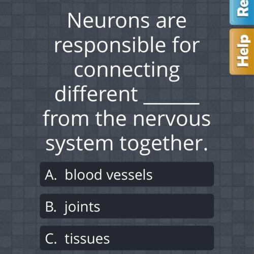 Neurons are responsible for connecting different ____ from the nervous system together.

A: blood