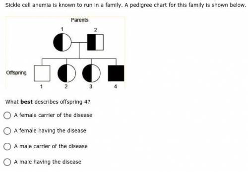 Please answer all three questions. CATEGORY: Patterns of Inheritance
