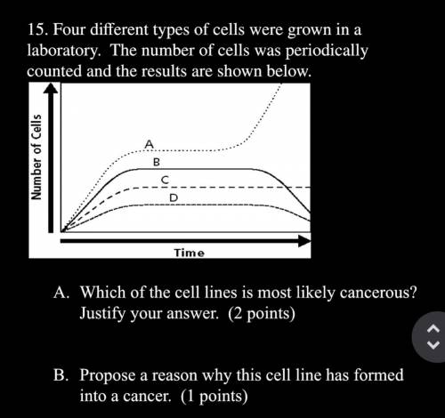 Four different types of cells were grown in a laboratory. The number of cells was periodically coun
