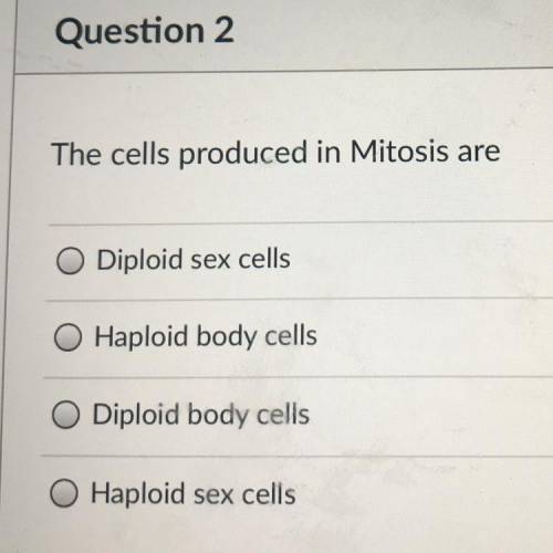 The cells produced in mitosis are called what