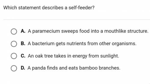Which statement describes a self-feeder
