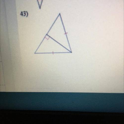What type of triangle is this ?