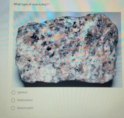 What type of rock is this?igneoussedimentarymetamorphic