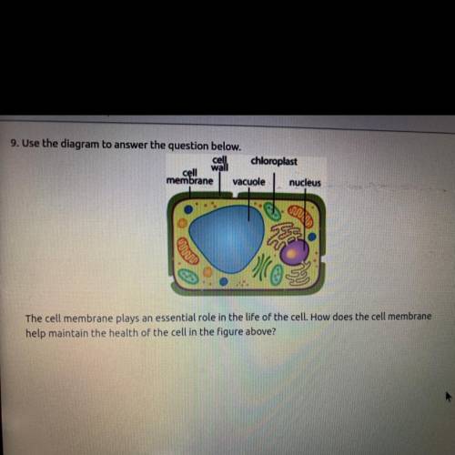9. Use the diagram to answer the question below.

cell chloroplast
wall
cell
membrane vacuole nucl