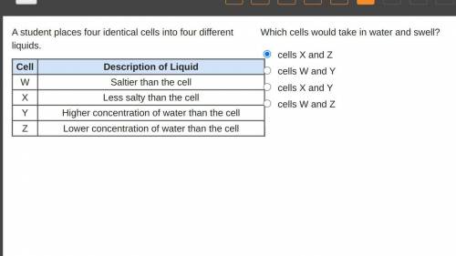 A student places four identical cells into four different liquids.

Cell Description of Liquid W S