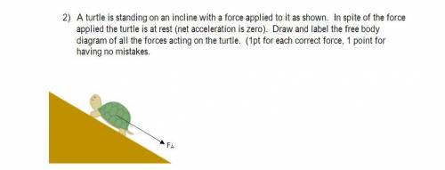 A turtle is standing on an incline with a force applied to it as shown. In spite of the force appli