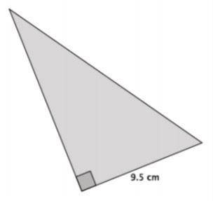 The area of the right triangle shown below is 66.5 cm^2.

(A) What is the height of the triangle?