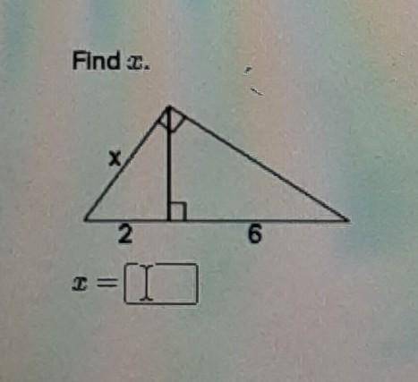 Find x x=What does x equal