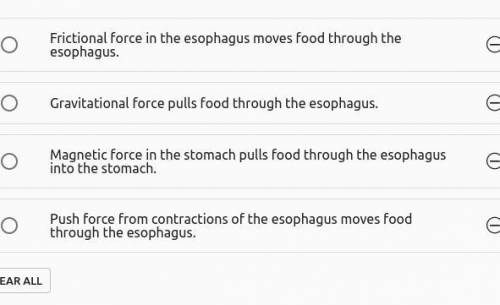 Forces affect motions in living and nonliving things. In a human, swallowed food moves down the eso