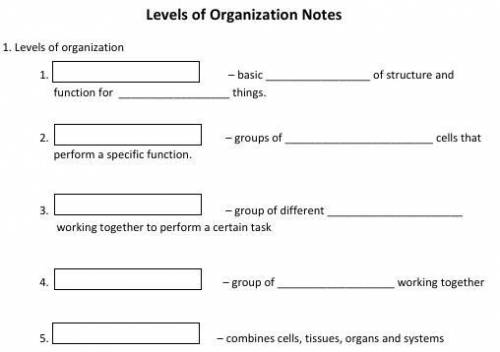 Levels Of Organisations