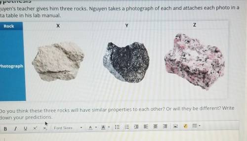 Nguyen's teacher gives him three rocks. Nguyen takes a photograph of each and attaches each photo i