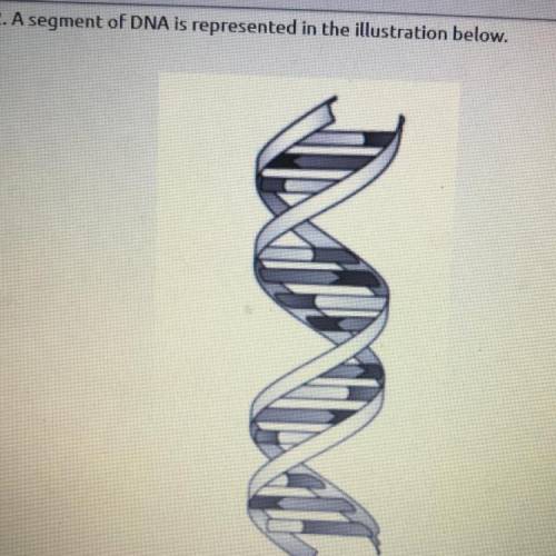 How is information for a specific protein carried on the DNA molecule?