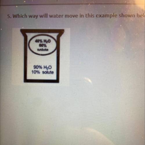Which way will water move in this example shown below?

The water will not move
Water will move in