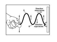 This figure below shows a _____.

a. compressional wave
b. decibel scale
c. electromagnetic spectr