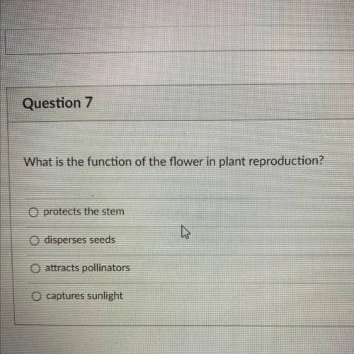 What is the function of the flower in plant reproduction?