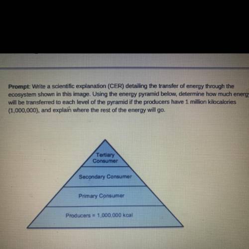 Prompt: Write a scientific explanation (CER) detailing the transfer of energy through the

ecosyst