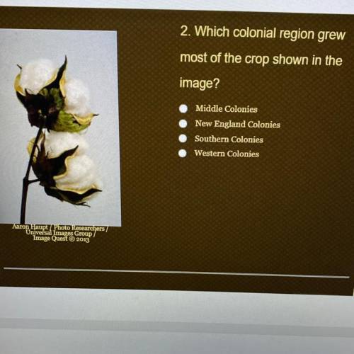 Which colonial region grew

most of the crop shown in the
image?
Middle Colonies
New England Colon