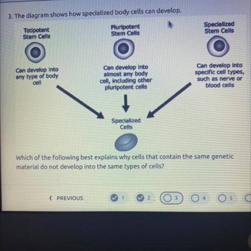 Which of the following best explains why cells that contain the same genetic material do not devel