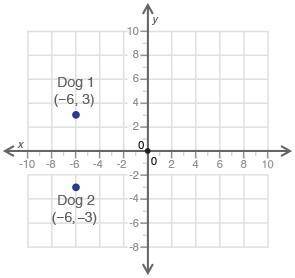 Points (−6, 3) and (−6, −3) on the coordinate grid below show the positions of two dogs at a park:W