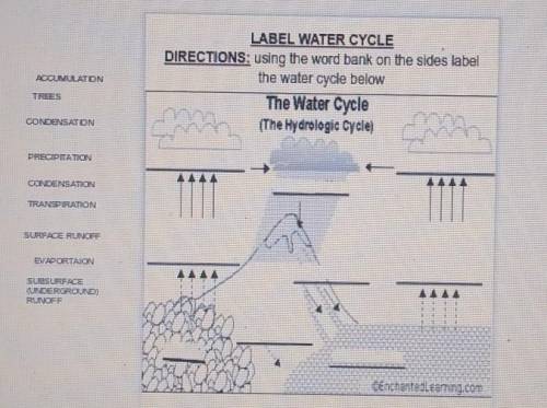 Label the water cycle
