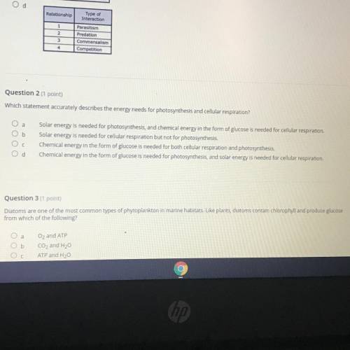 Can I get help for question number 2 and 3 pls ASAP