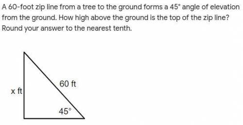 Please help im so confused and i will mark you brainliest