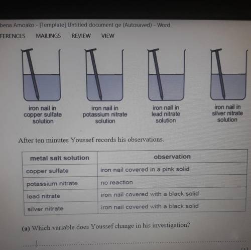 pls help me. the question says Youssef investigates what happens when iron is added to different so