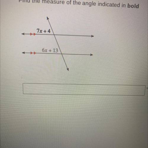 Find the angle measure in bold