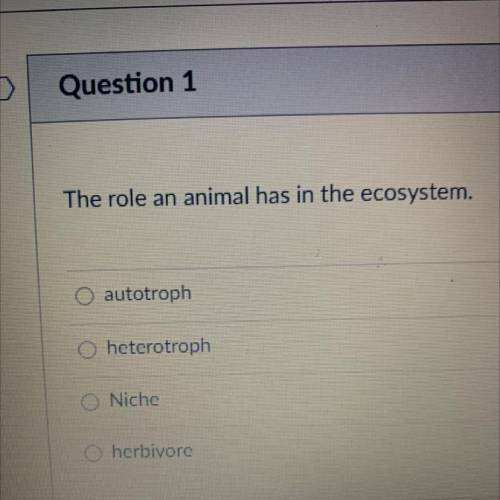 The role an animal has in the ecosystem.