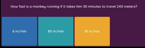 How fast is a monkey running if it takes him 30 minutes to travel 240 meters