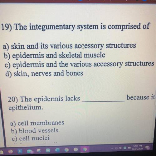 The integumentary system is comprised of