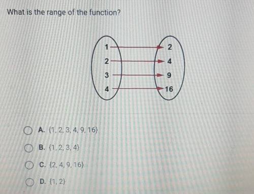 HELP What is the range of the function?