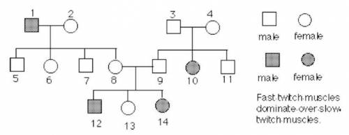 Use the pedigree chart to answer the following three questions.

1. What is the genotype of indivi
