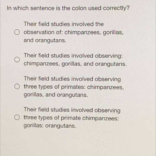 Which sentence is using the colon correctly?