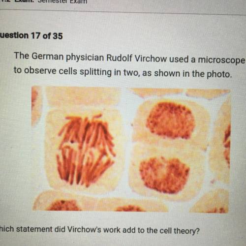 Which statement did Virchow's work add to the cell theory?

A. Cells contain genetic material that