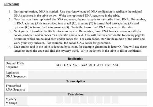 Cracking the Codon - 30 Points! - Refer to Screenshot

1. During replication, DNA is copied. Use y