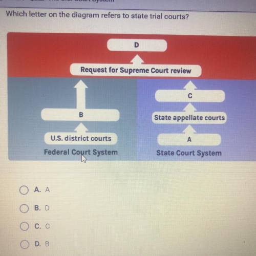 Which letter on the diagram refers to state trial courts?

D
Request for Supreme Court review
С
B