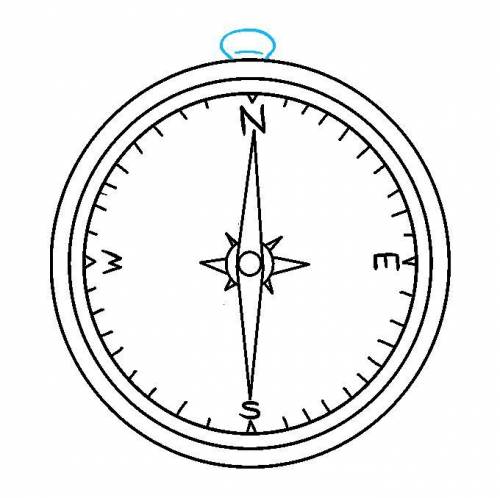 Draw the diagram of magnetic compass?​