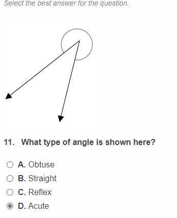 If you can answer that would be nice, thank you.
What type of angle is shown here?