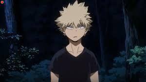 Who wanna be me and Bakugo's friend :>I already have 100 red flags