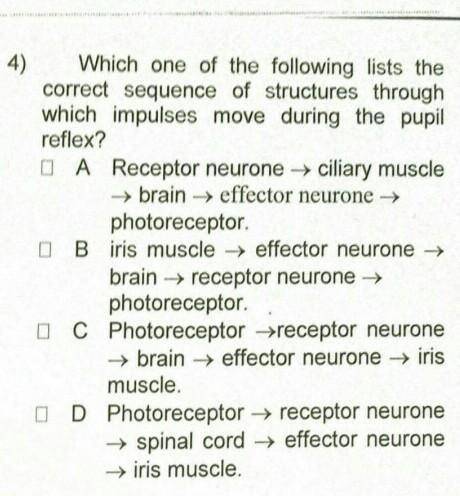 BRAINLIEST PLEASE ANSWER THIS ONE MCQ, I AM GIVING 13 POINTS FOR I